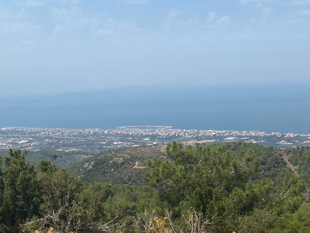 Locate'den Güzelbahçe Yaka Mh.sinde Yatırımlık 3749m² Zeytinlik