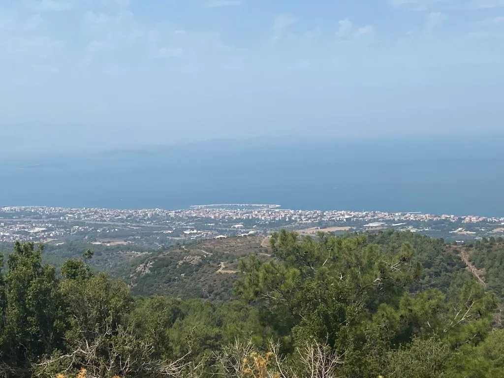 Locate'den Güzelbahçe Yaka Mh.sinde Yatırımlık 3749m² Zeytinlik