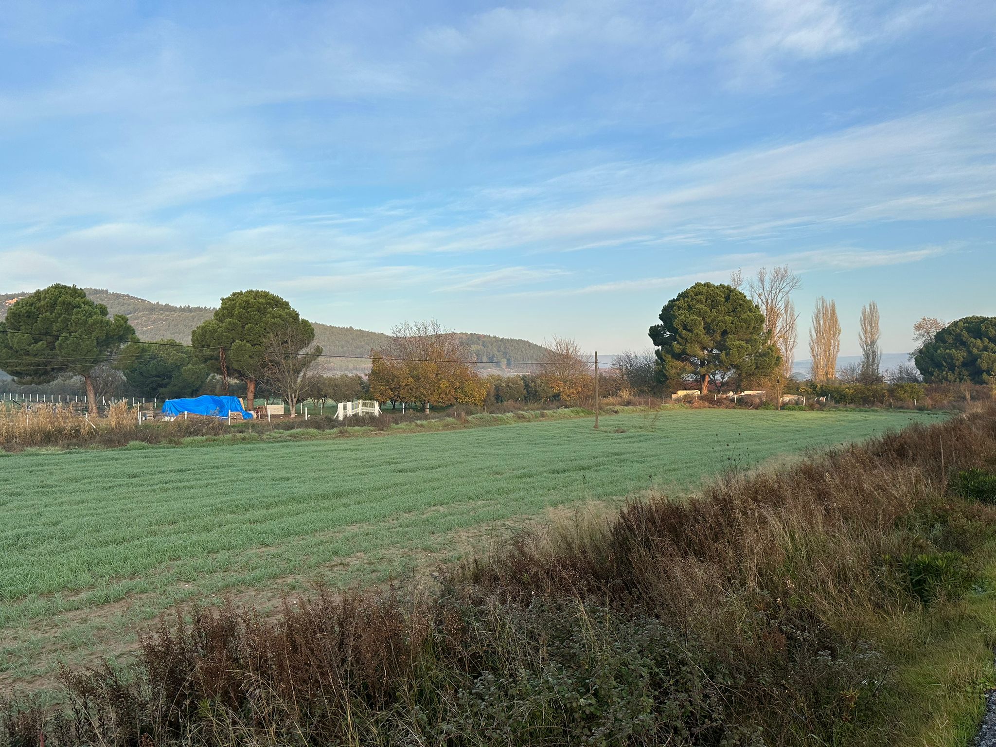 Locate'den Arvalya'da Kuşadası Yoluna Cephe 5367m² Satılık Tarla